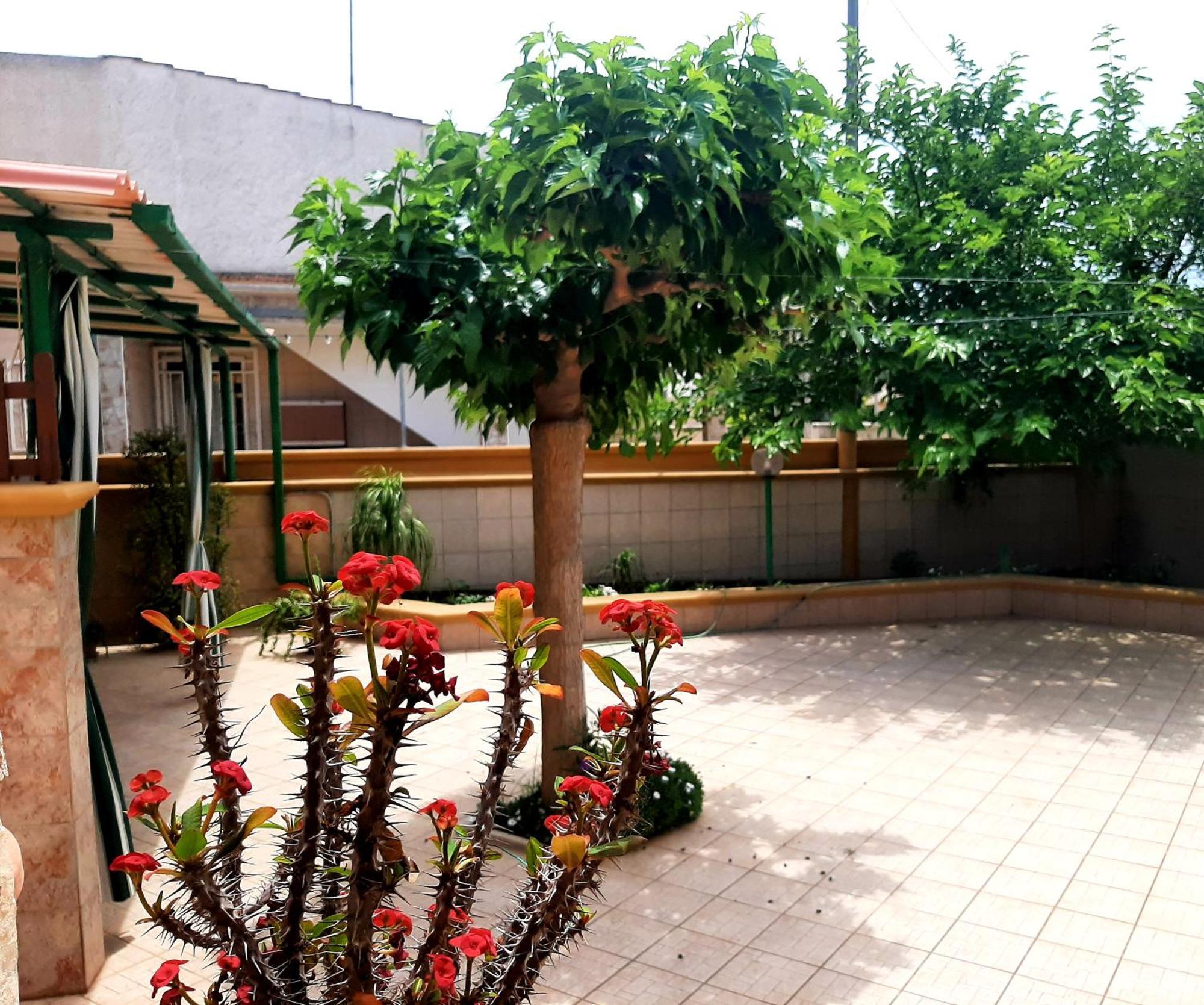 Villa Carrieri Marina di Lizzano Exterior foto